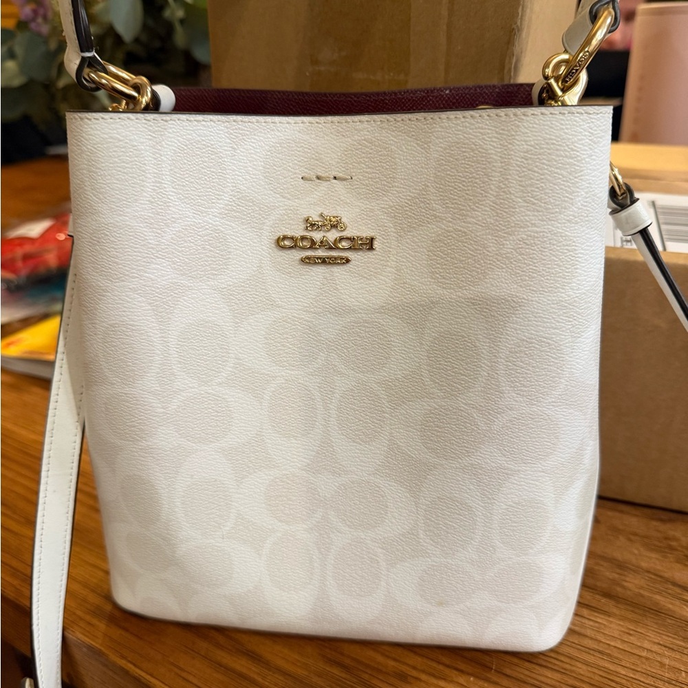 Coach

MOLLIE BUCKET BAG 22 IN SIGNATURE CANVAS